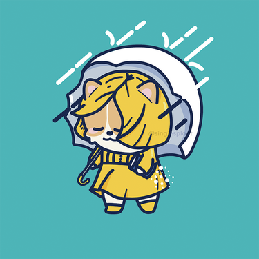 Morton Salt Corg!